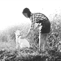 myalivemoment AI animation tool